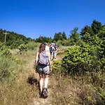 To της λίμνης 2 Gæstehus