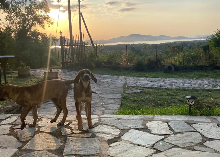 بيت ضيافة To της λίμνης 2 Kalývia Fylaktís