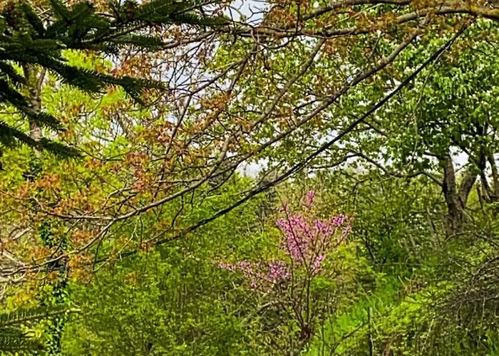 To της λίμνης 2 3*